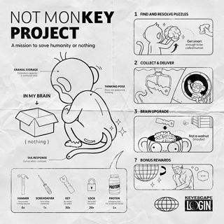 NOT MONKEY PROJECT 포스터