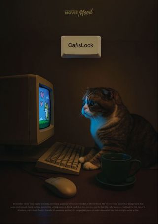 Cat 포스터